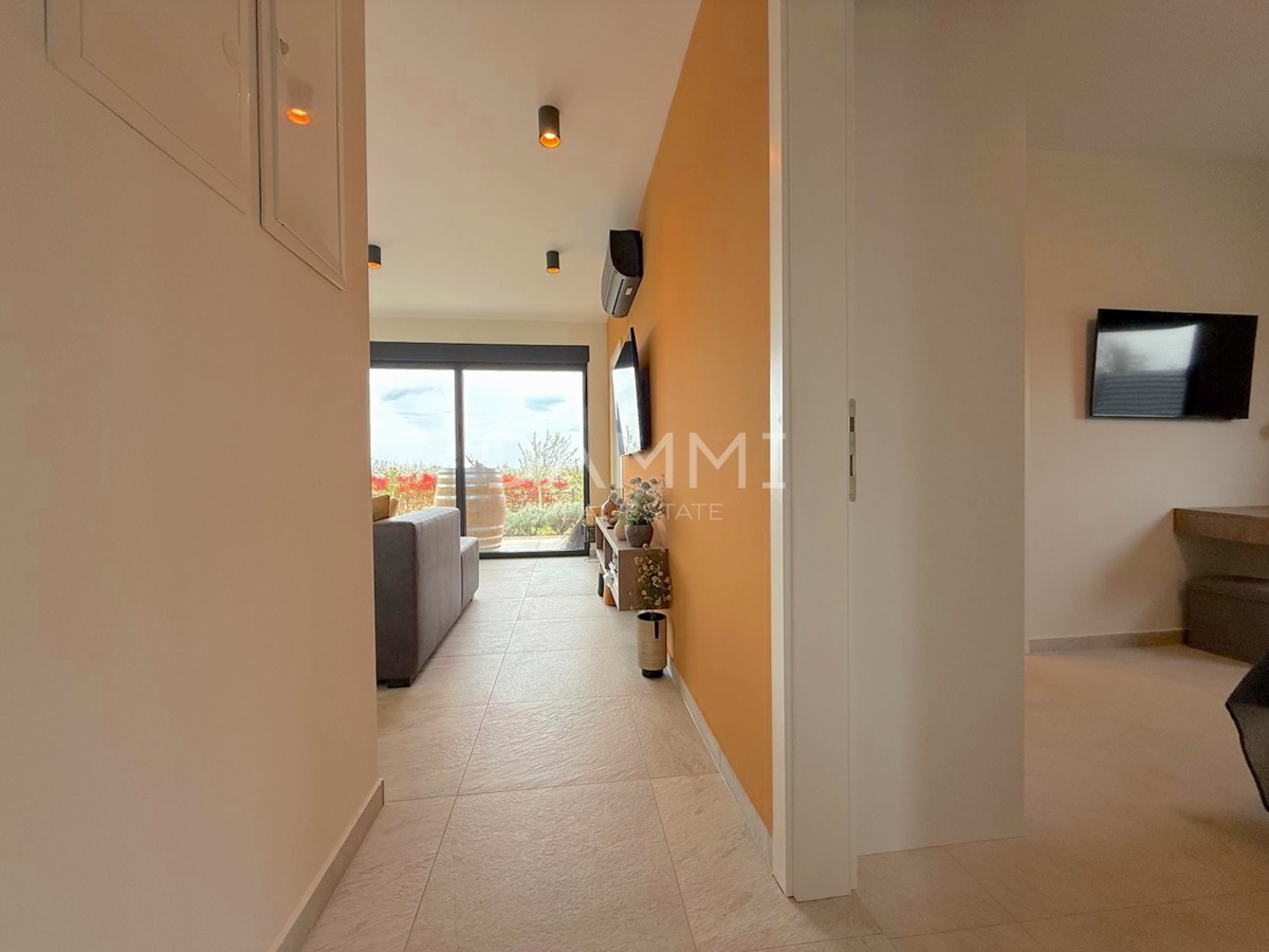 ISTRA, SVETI LOVREČ - VILLA MODERNA AL PIANO TERRA CON PISCINA IN BEL CONTESTO