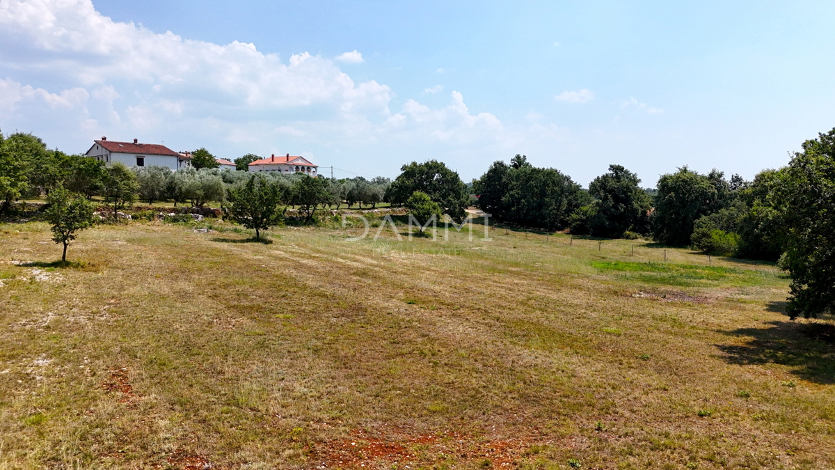 ISTRIA, KANFANAR - GRANDE TERRENO EDIFICABILE NELL&apos;ENTROTERRA DI ROVIGNO