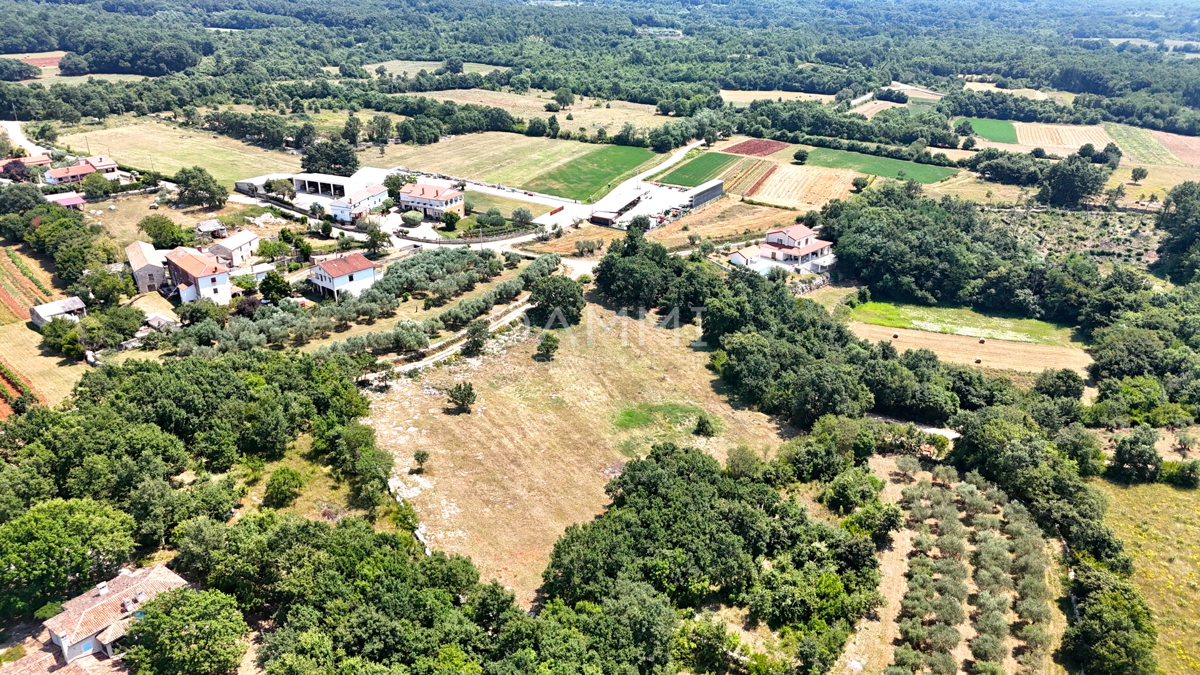 ISTRIA, KANFANAR - GRANDE TERRENO EDIFICABILE NELL&apos;ENTROTERRA DI ROVIGNO