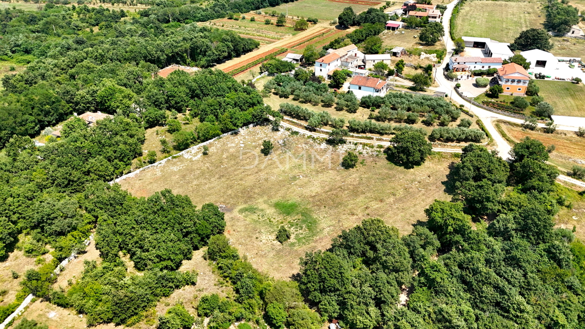 ISTRIA, KANFANAR - GRANDE TERRENO EDIFICABILE NELL&apos;ENTROTERRA DI ROVIGNO