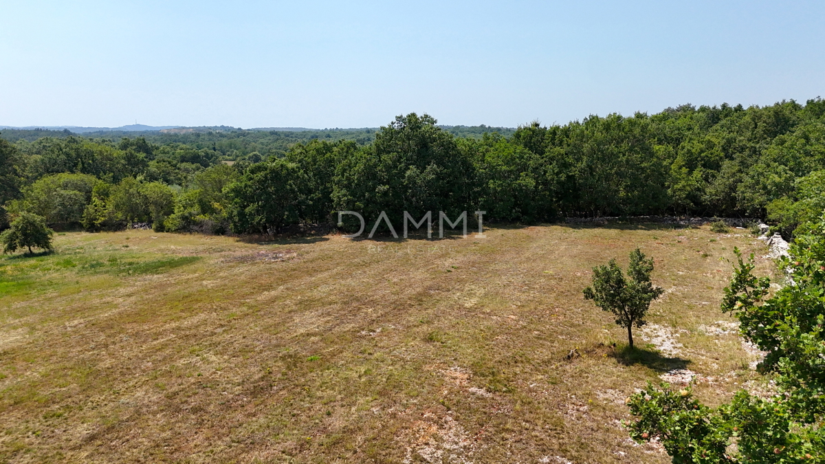 ISTRIA, KANFANAR - GRANDE TERRENO EDIFICABILE NELL&apos;ENTROTERRA DI ROVIGNO