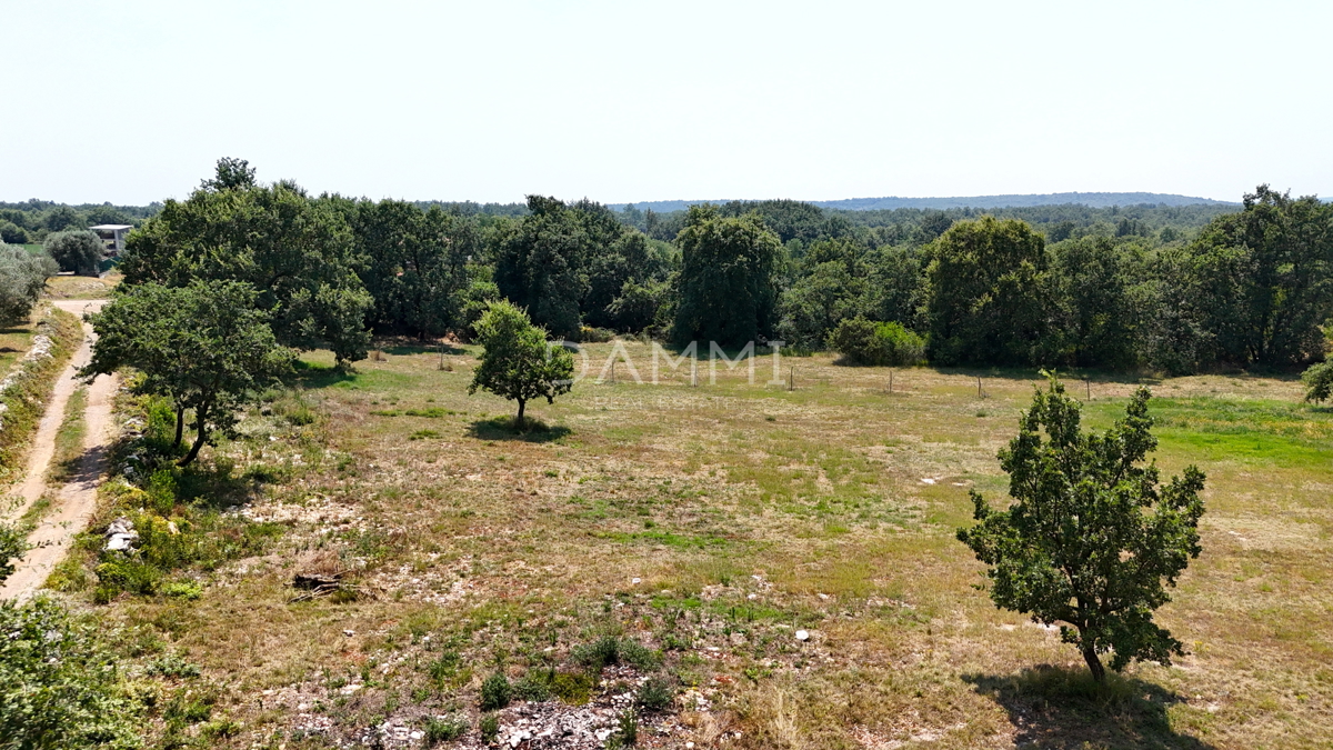 ISTRIA, KANFANAR - GRANDE TERRENO EDIFICABILE NELL&apos;ENTROTERRA DI ROVIGNO