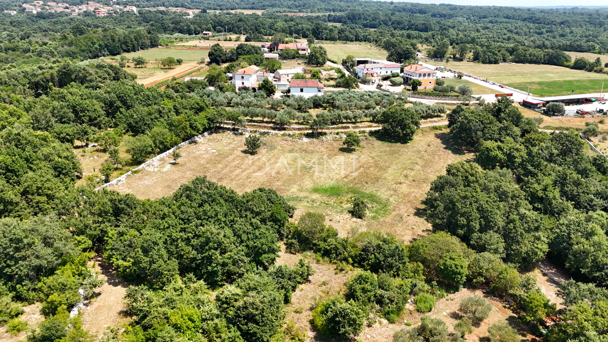 ISTRIA, KANFANAR - GRANDE TERRENO EDIFICABILE NELL&apos;ENTROTERRA DI ROVIGNO