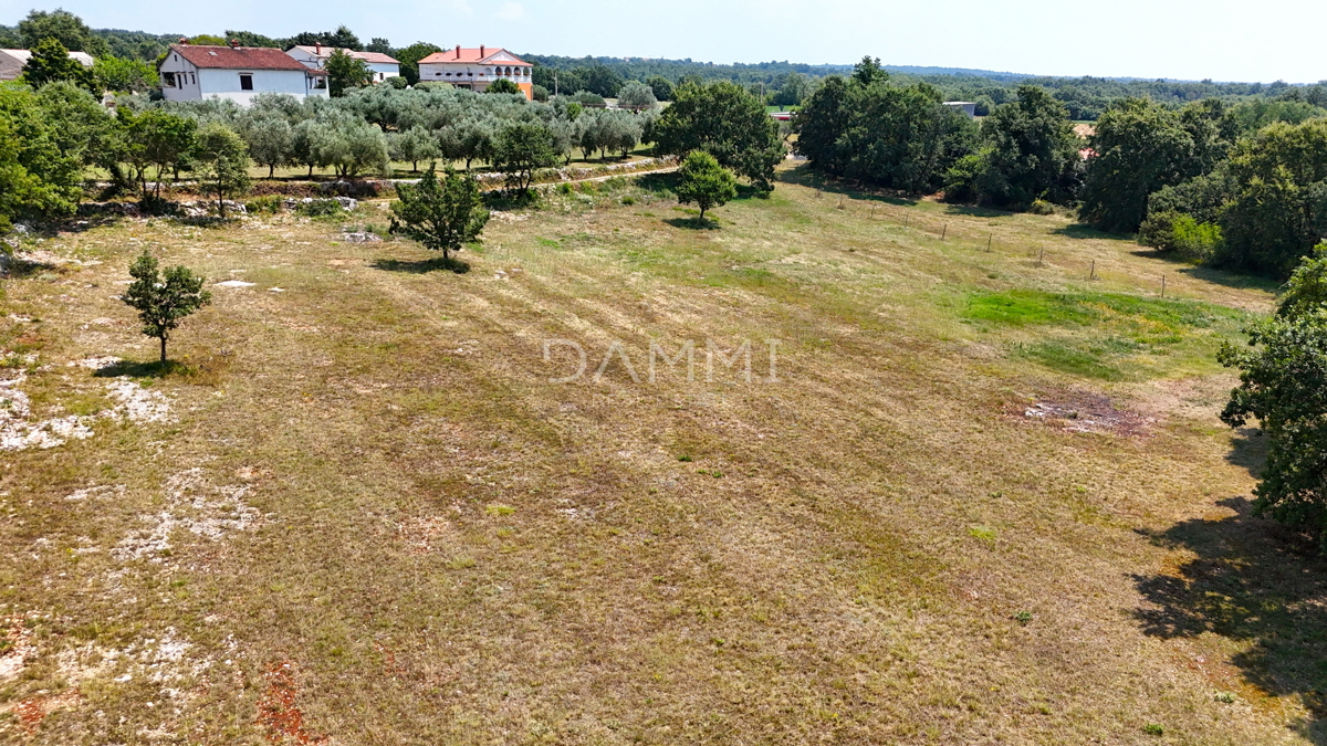 ISTRIA, KANFANAR - GRANDE TERRENO EDIFICABILE NELL&apos;ENTROTERRA DI ROVIGNO