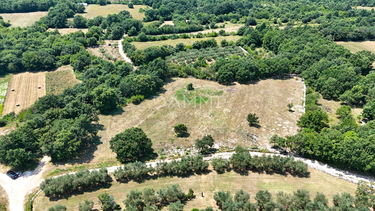 ISTRIA, KANFANAR - GRANDE TERRENO EDIFICABILE NELL&apos;ENTROTERRA DI ROVIGNO