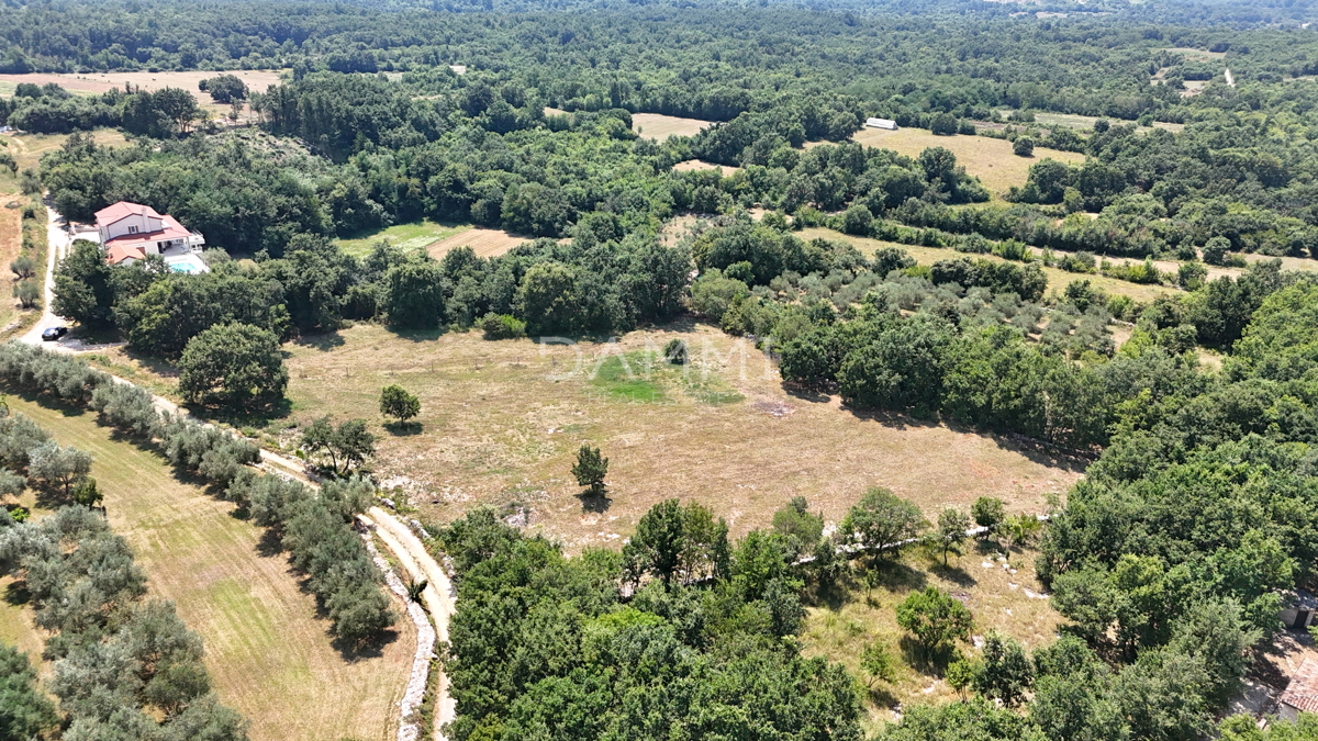 ISTRIA, KANFANAR - GRANDE TERRENO EDIFICABILE NELL&apos;ENTROTERRA DI ROVIGNO