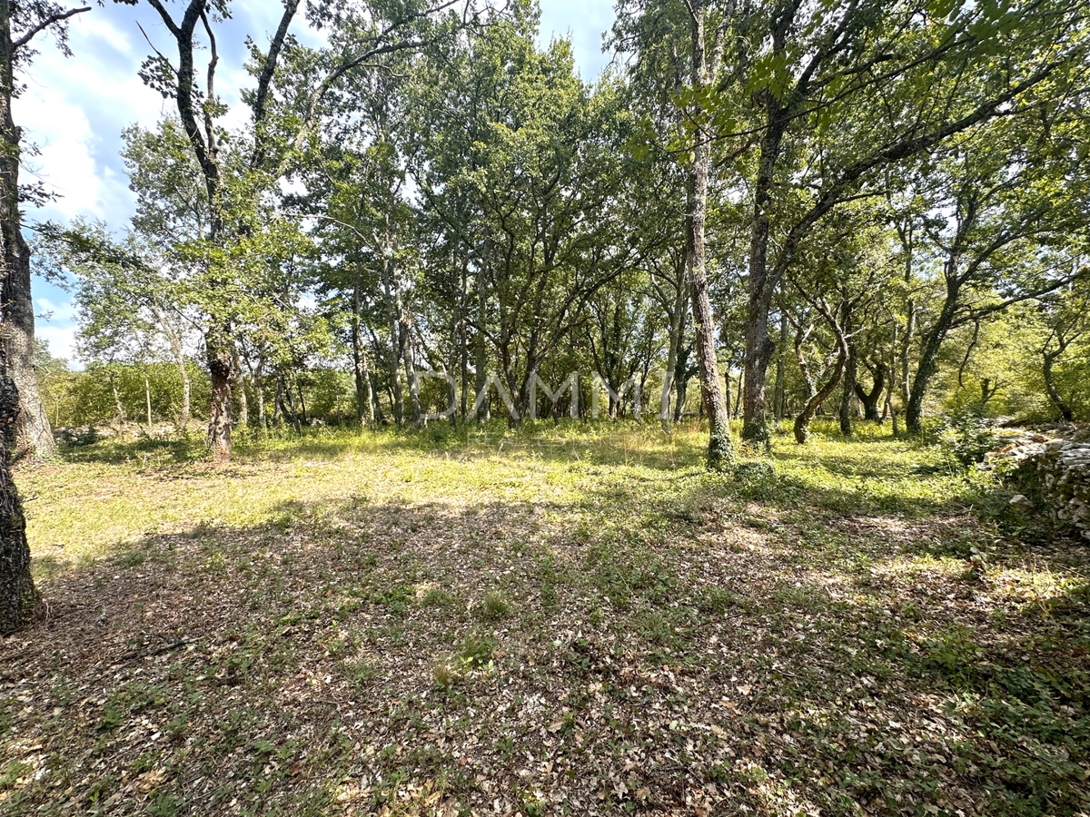 ISTRIA, TINJAN - Terreno edificabile in zona appartata e immersa nel verde