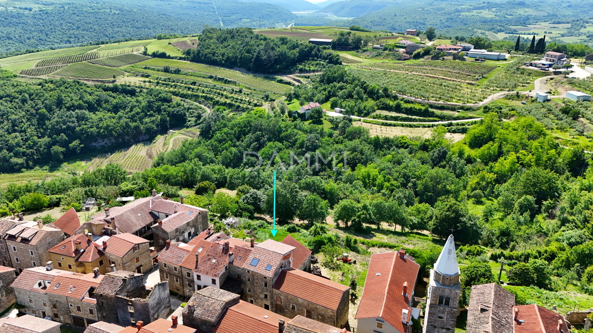 ISTRA, GROŽNJAN - Casa in pietra con vista panoramica ESCLUSIVO!