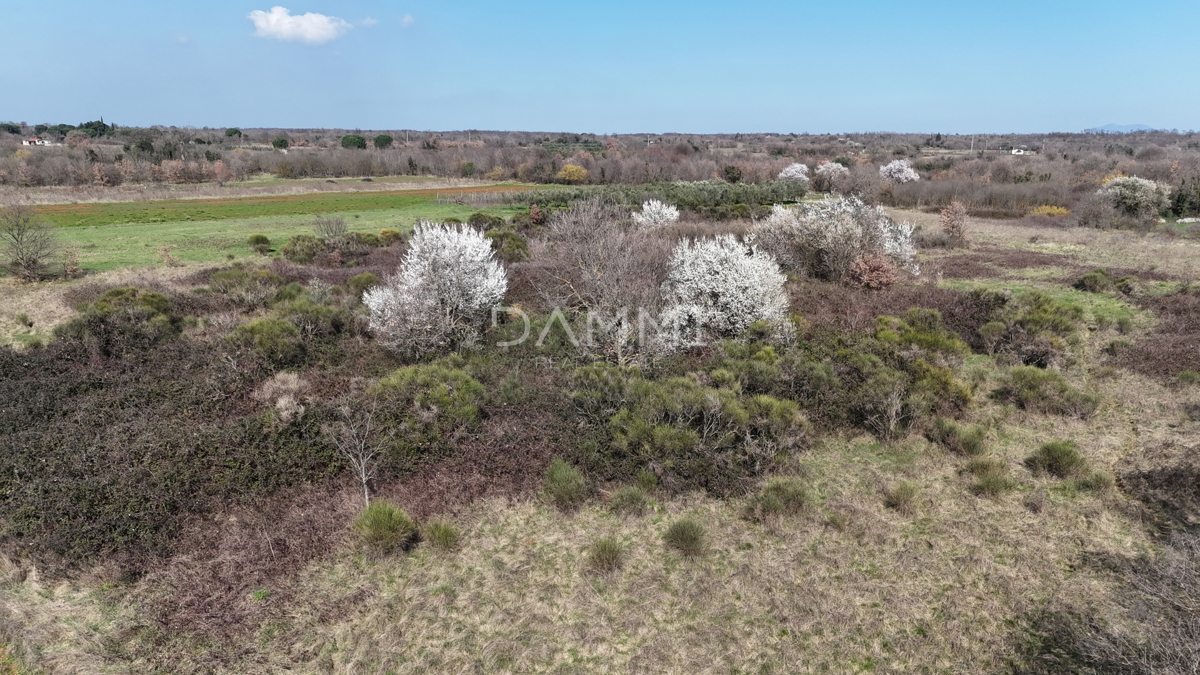 Istra, Marčana - terreno edificabile in zona industriale