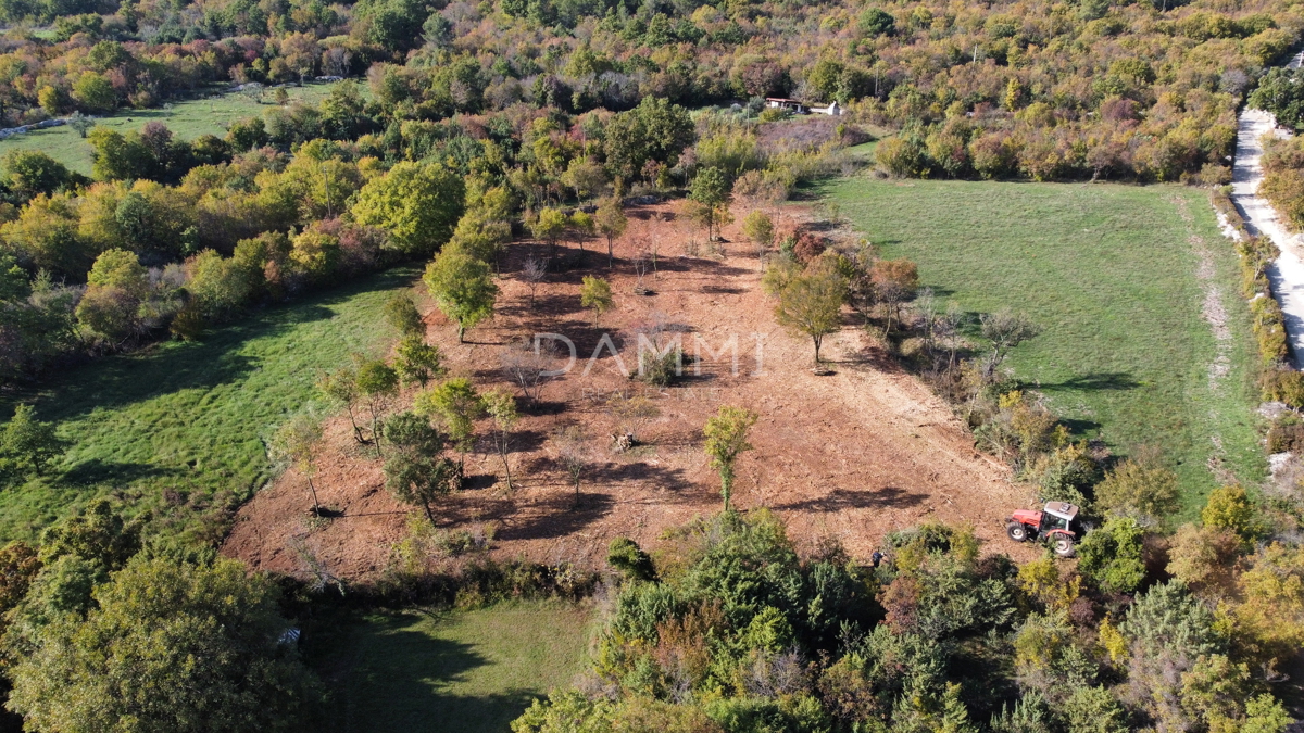 Rakalj - una combinazione di terreno edificabile e agricolo