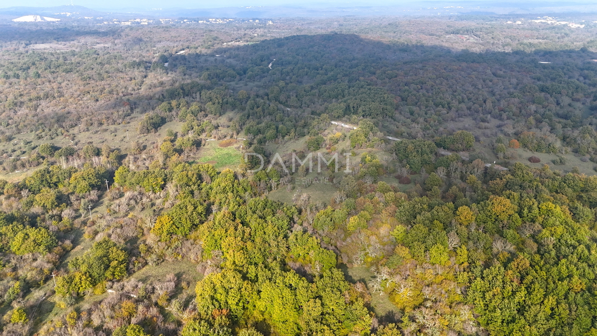 ISTRIA, ROVIGNO - Attraente terreno agricolo 54035 m2 posizione eccezionale