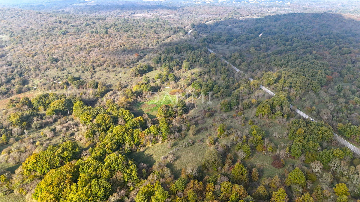 ISTRIA, ROVIGNO - Attraente terreno agricolo 54035 m2 posizione eccezionale