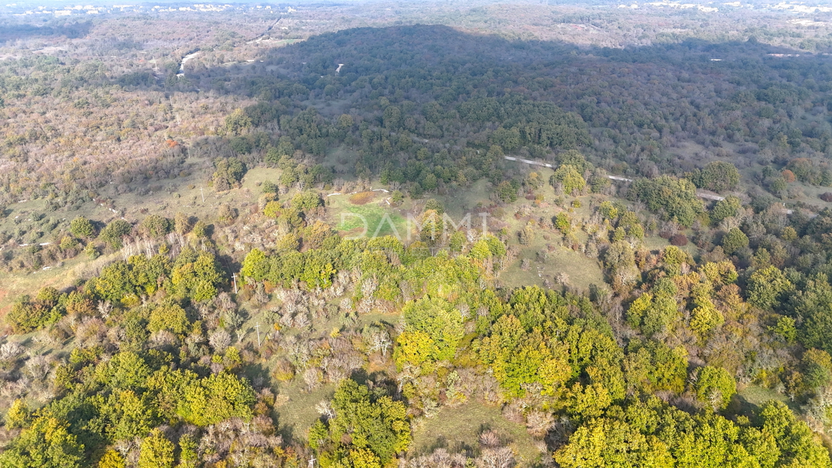 ISTRIA, ROVIGNO - Attraente terreno agricolo 54035 m2 posizione eccezionale