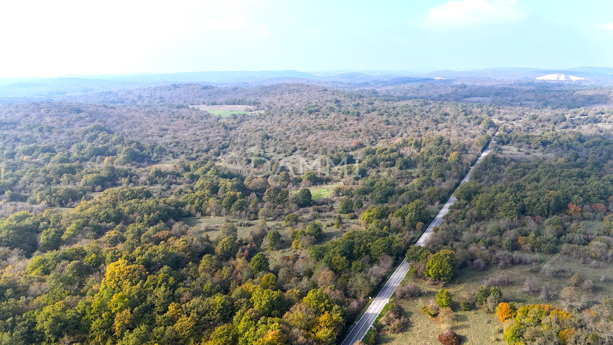 ISTRIA, ROVIGNO - Attraente terreno agricolo 54035 m2 posizione eccezionale