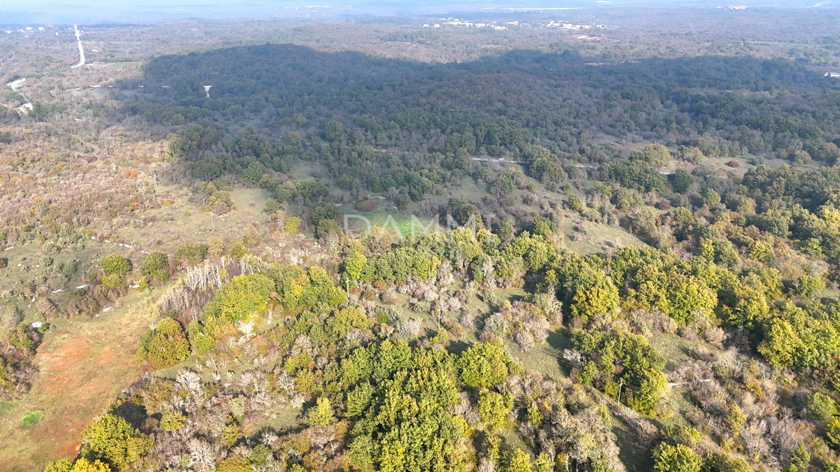 ISTRIA, ROVIGNO - Attraente terreno agricolo 54035 m2 posizione eccezionale