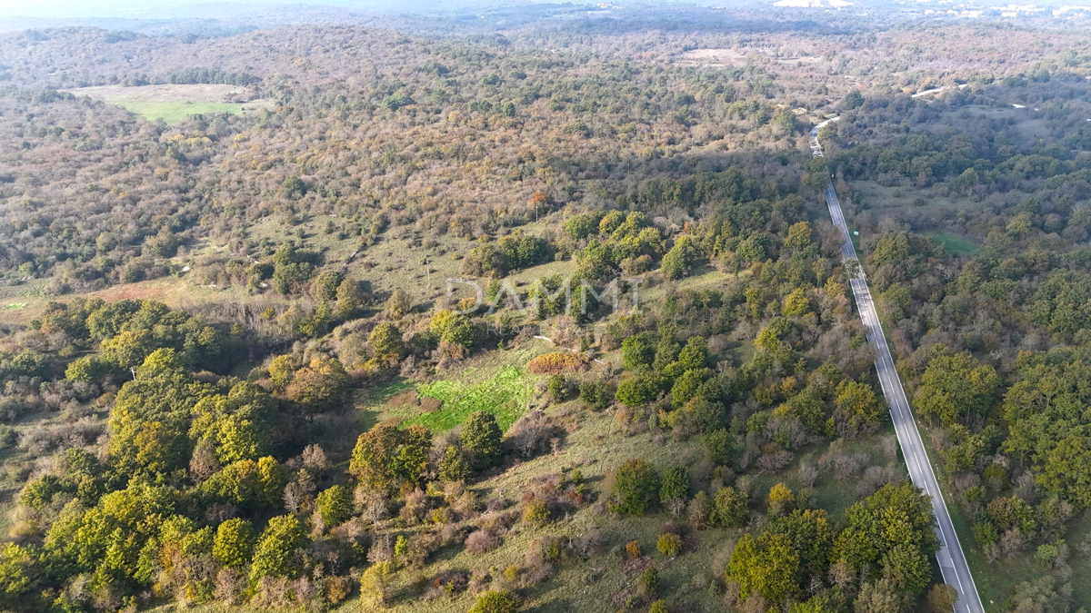 ISTRIA, ROVIGNO - Attraente terreno agricolo 54035 m2 posizione eccezionale