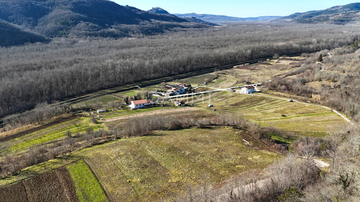 ISTRA, MOTOVUN - Terreno edificabile in posizione isolata con vista su Motovun