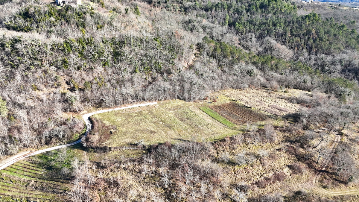 ISTRA, MOTOVUN - Terreno edificabile in posizione isolata con vista su Motovun
