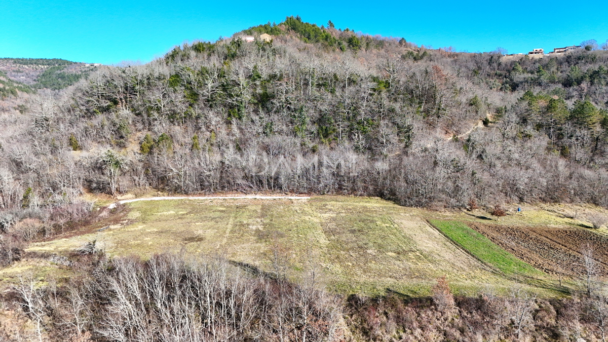 ISTRA, MOTOVUN - Terreno edificabile in posizione isolata con vista su Motovun