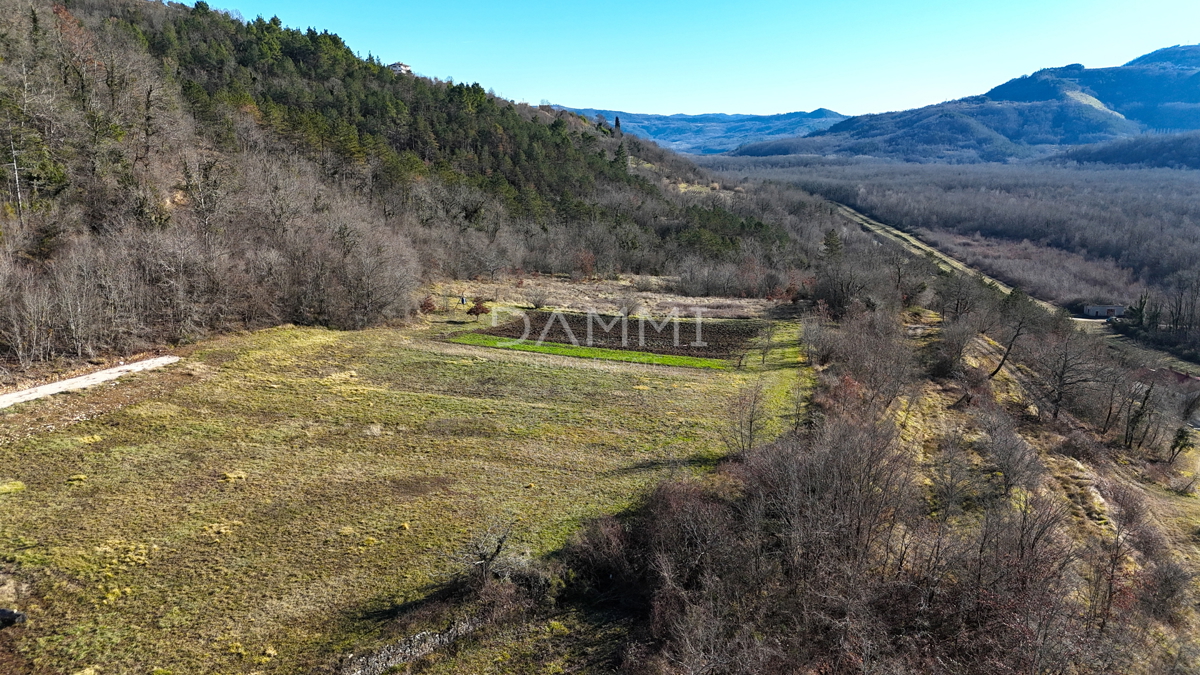 ISTRA, MOTOVUN - Terreno edificabile in posizione isolata con vista su Motovun