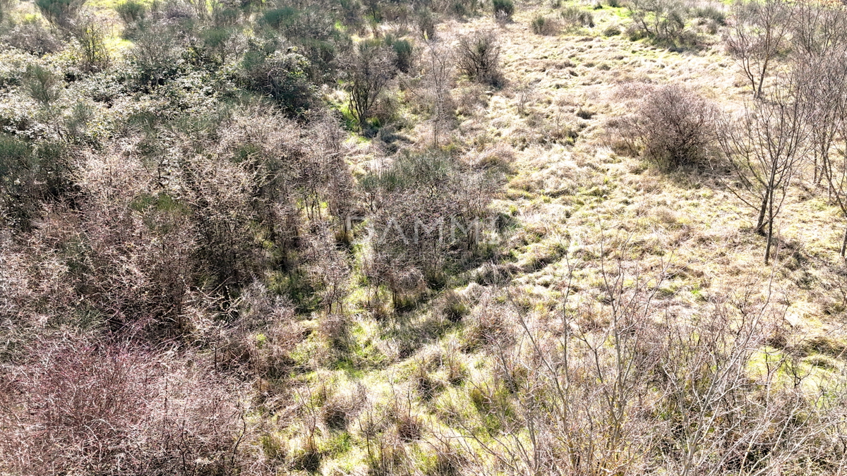 Istra, Marčana - terreno edificabile in zona industriale