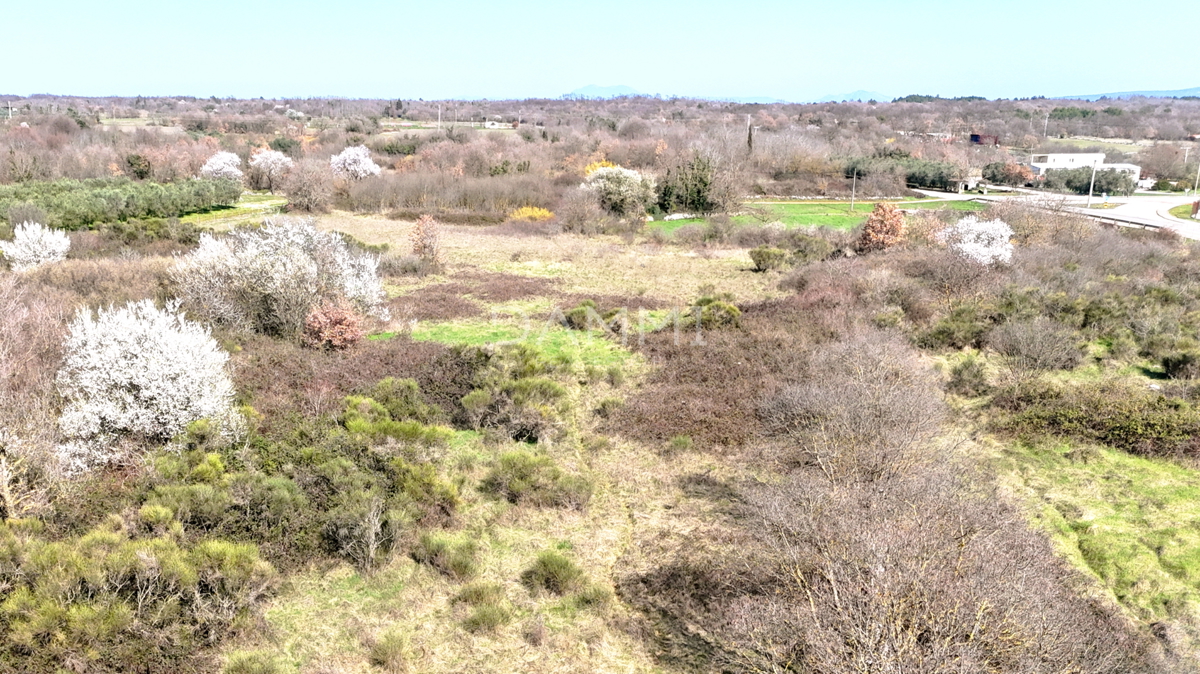 Istra, Marčana - terreno edificabile in zona industriale