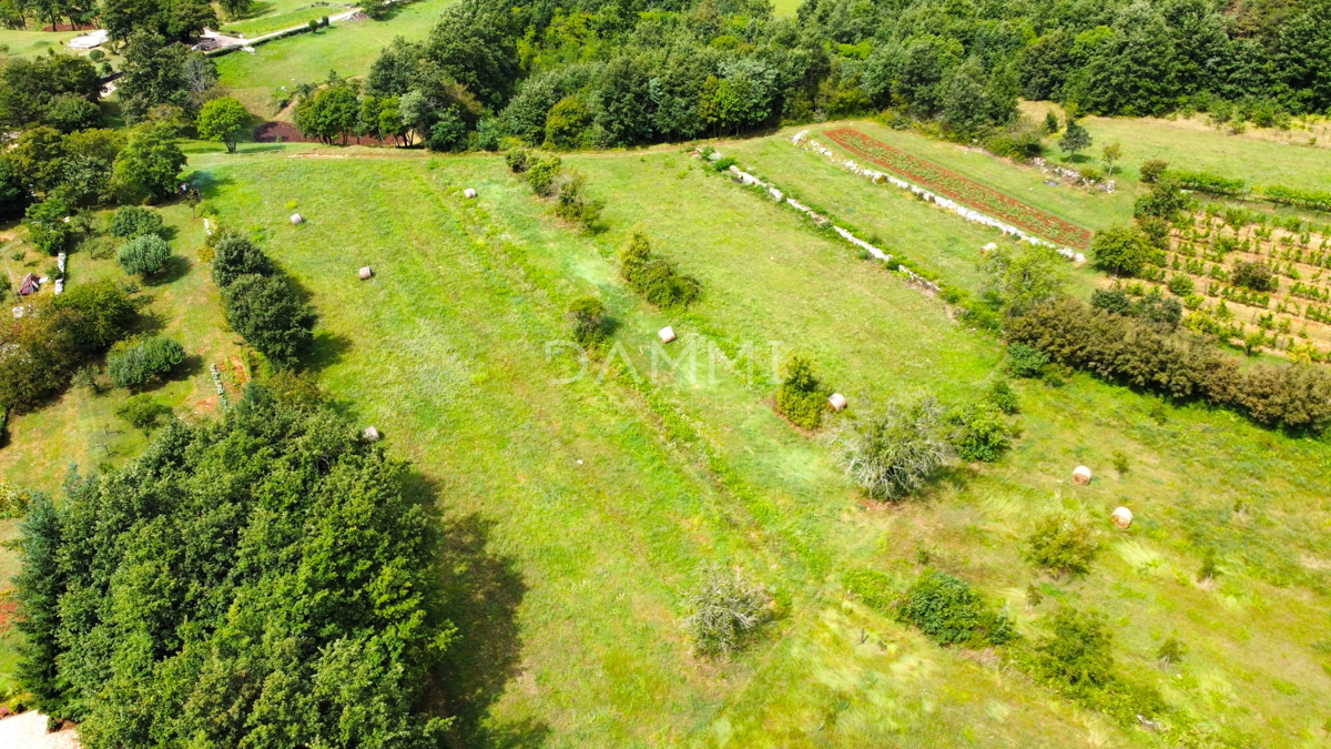 ISTRIA CENTRALE - Grande terreno edificabile nel cuore dell&apos;Istria 7330m2