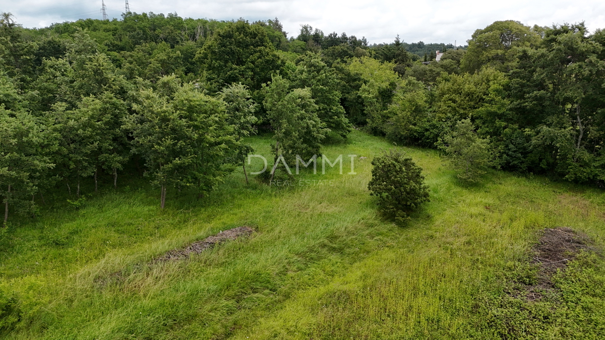 ISTRIA, PAZIN - Terreno edificabile in posizione appartata e immersa nella natura