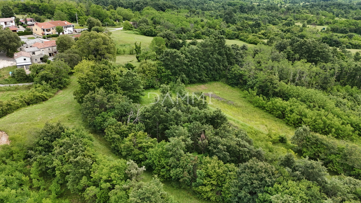 ISTRIA, PAZIN - Terreno edificabile in posizione appartata e immersa nella natura