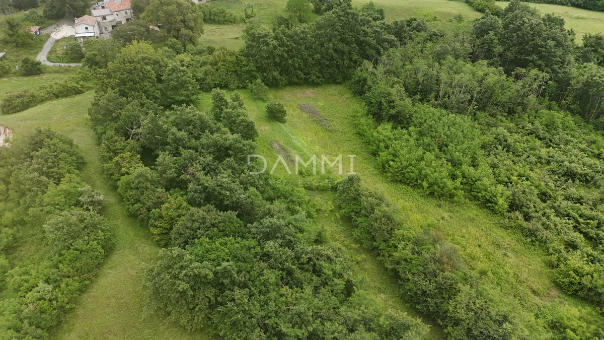 ISTRIA, PAZIN - Terreno edificabile in posizione appartata e immersa nella natura