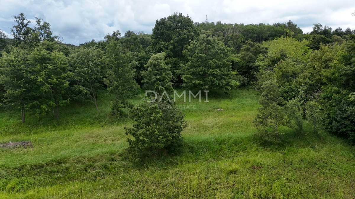 ISTRIA, PAZIN - Terreno edificabile in posizione appartata e immersa nella natura