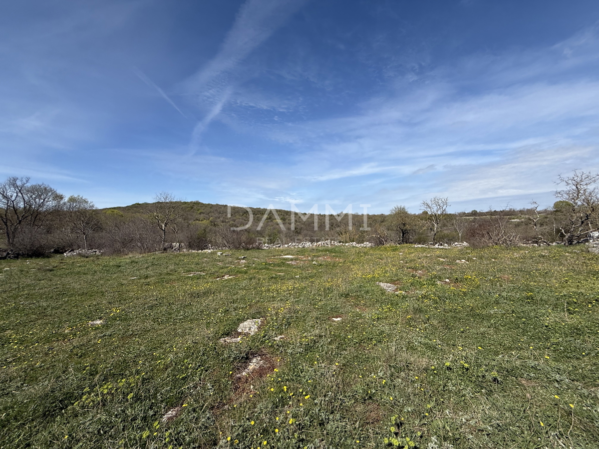 ISTRA, BALE - Terreno edificabile in ottima posizione di 755 m2