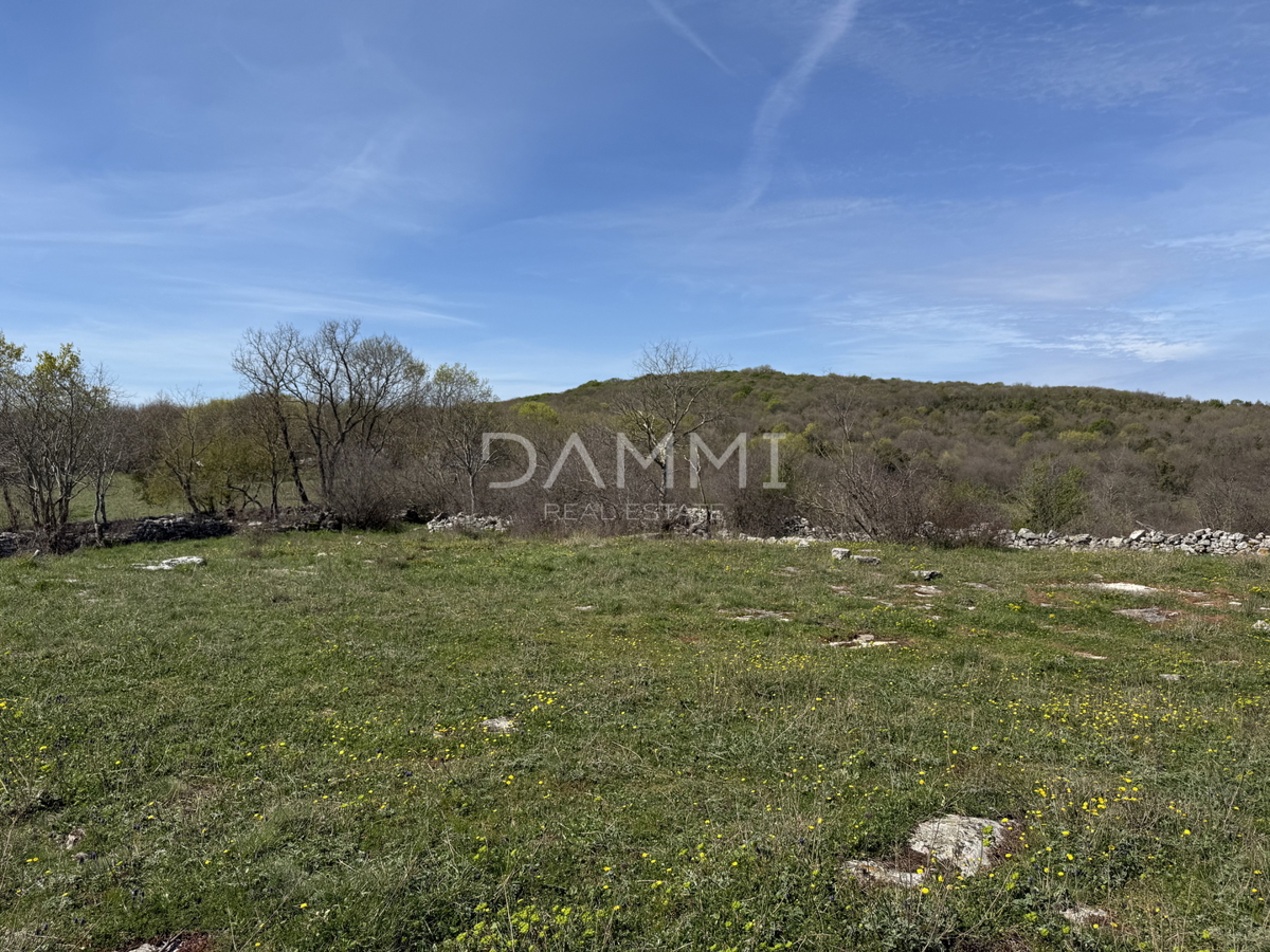 ISTRA, BALE - Terreno edificabile in ottima posizione di 755 m2