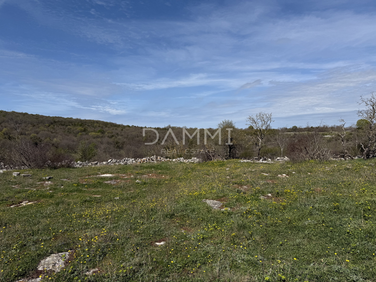 ISTRA, BALE - Terreno edificabile in ottima posizione di 755 m2