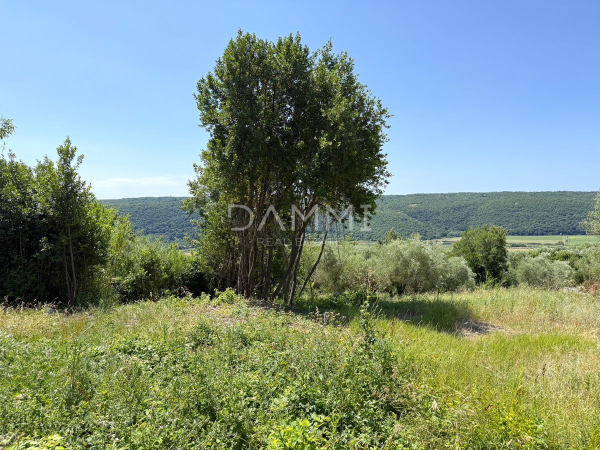 ISTRIA, BUJE, KRASICA - Terreno edificabile 770m2 con vista panoramica