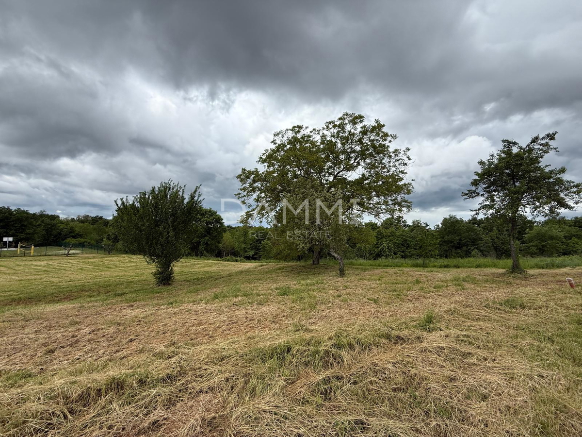 ISTRA, VIŽINADA - Terreno edificabile in posizione tranquilla