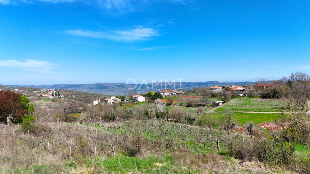 MOTOVUN, DINTORNI - Terreno edificabile di 813 m2 con vista aperta