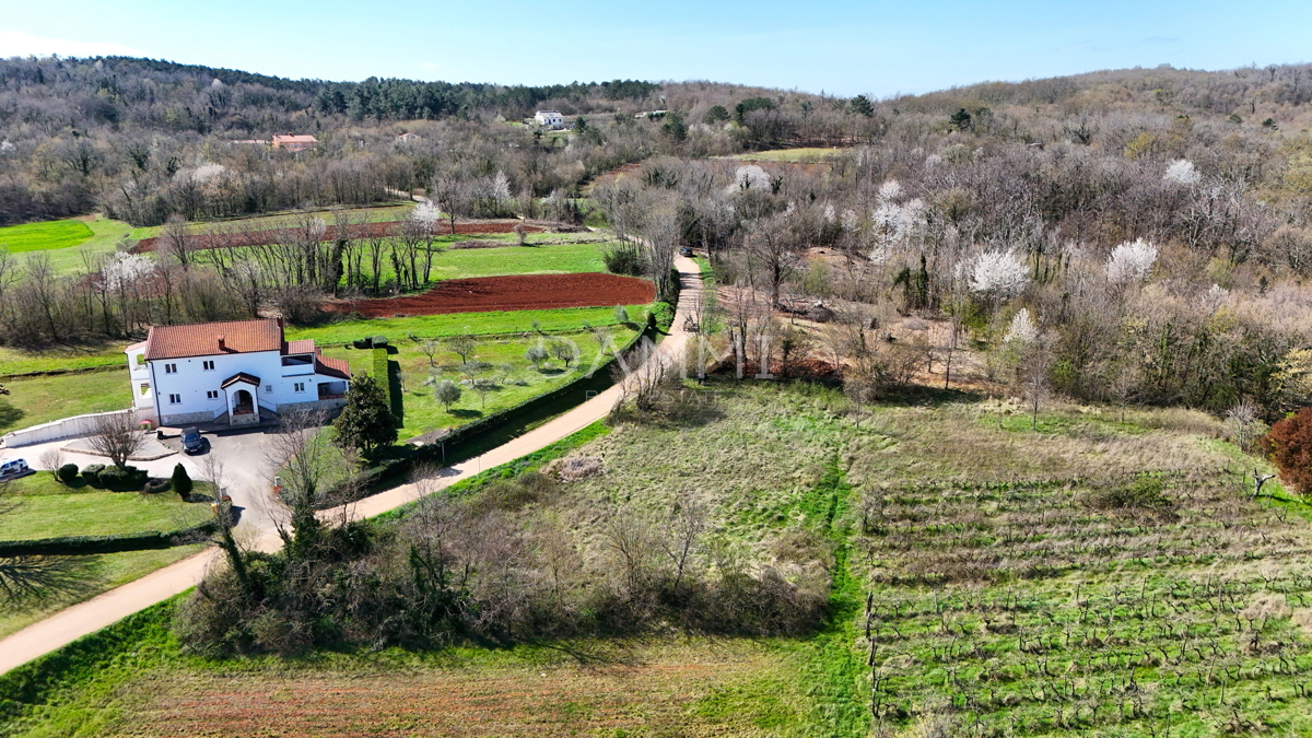 MOTOVUN, DINTORNI - Terreno edificabile di 813 m2 con vista aperta