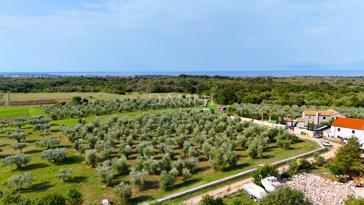 ISTRA, UMAG - Terreno edificabile a 3 km dal mare
