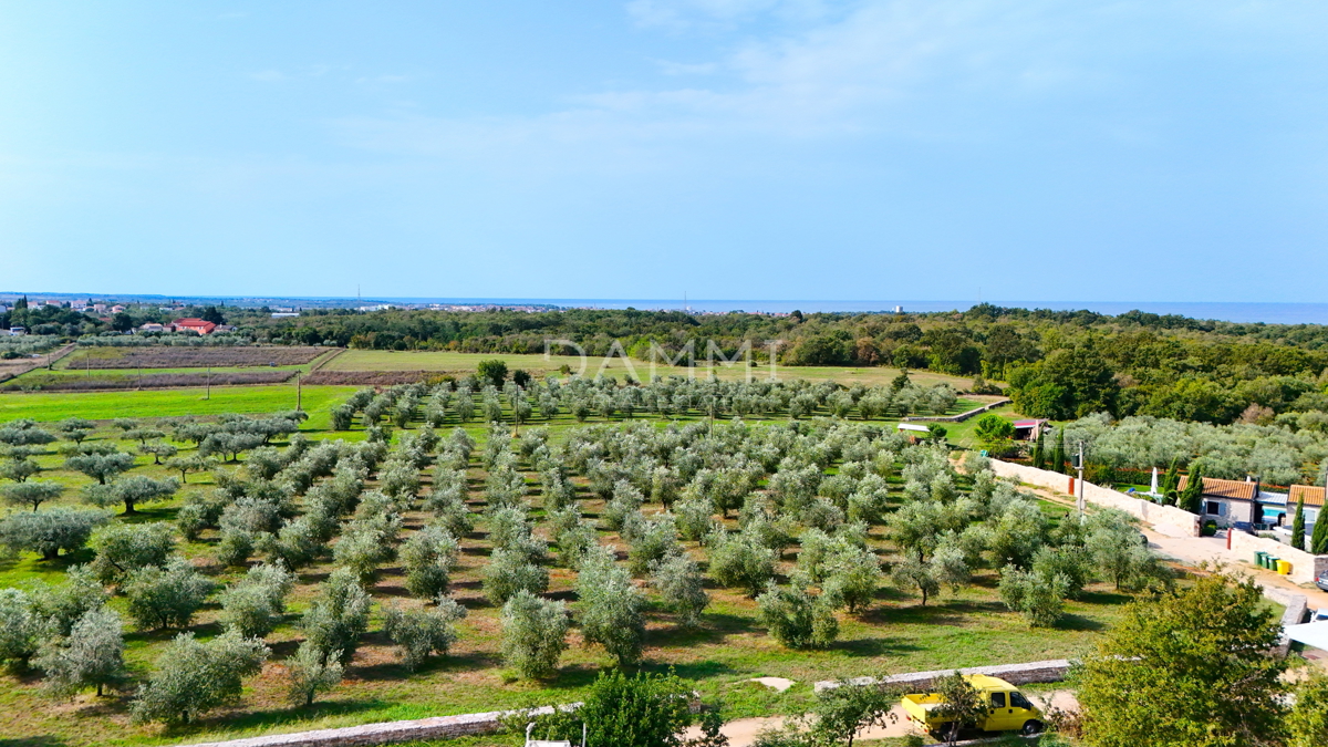 ISTRA, UMAG - Terreno edificabile a 3 km dal mare