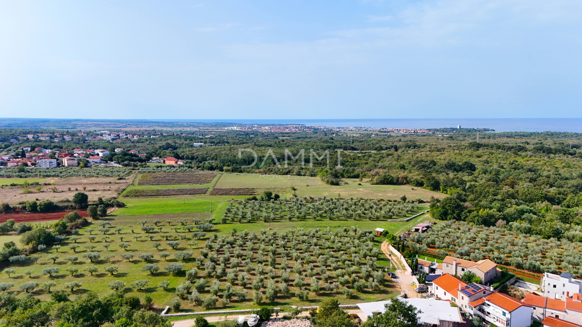 ISTRA, UMAG - Terreno edificabile a 3 km dal mare