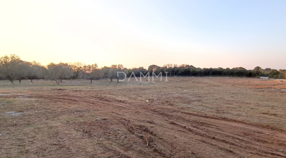 Istra, Štinjan - terreno edificabile attraente, vista mare