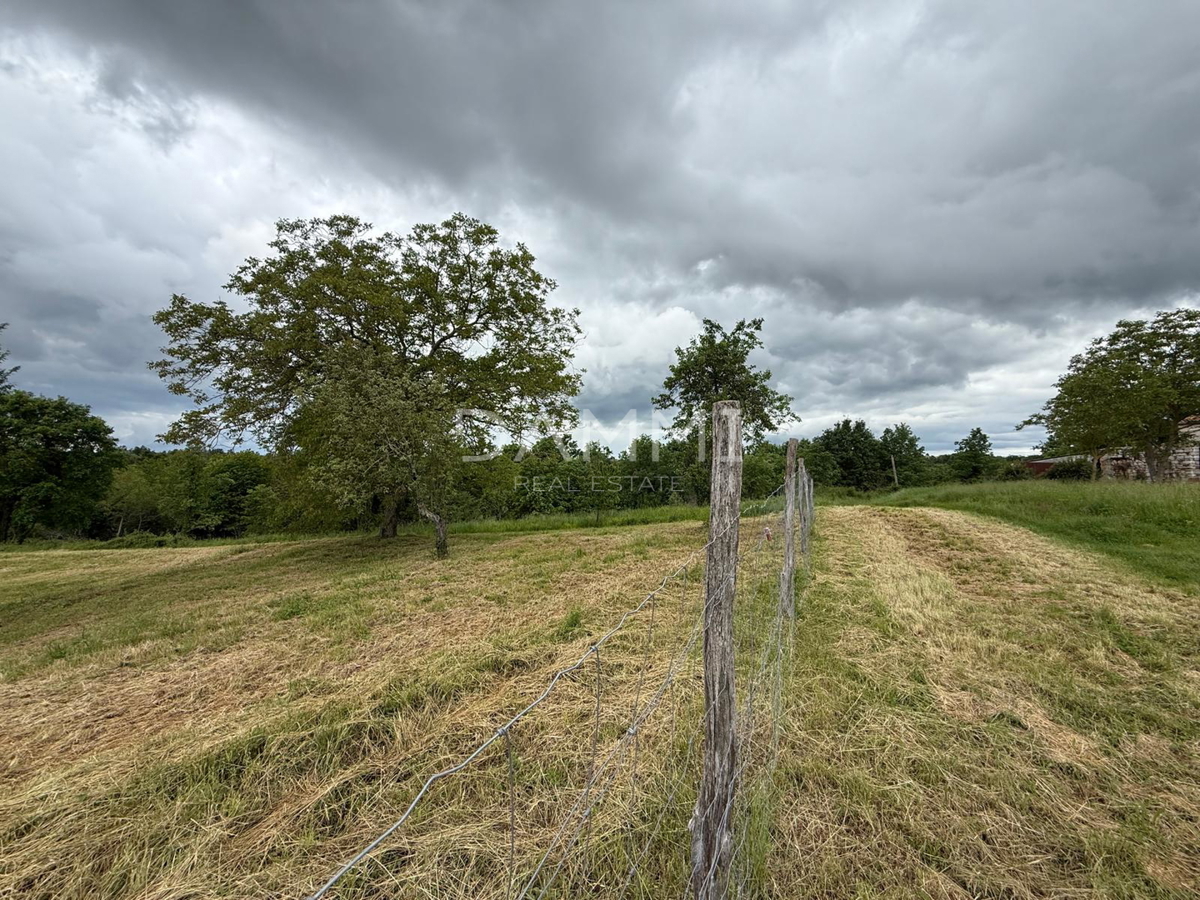 ISTRA, VIŽINADA - Terreno edificabile in posizione tranquilla