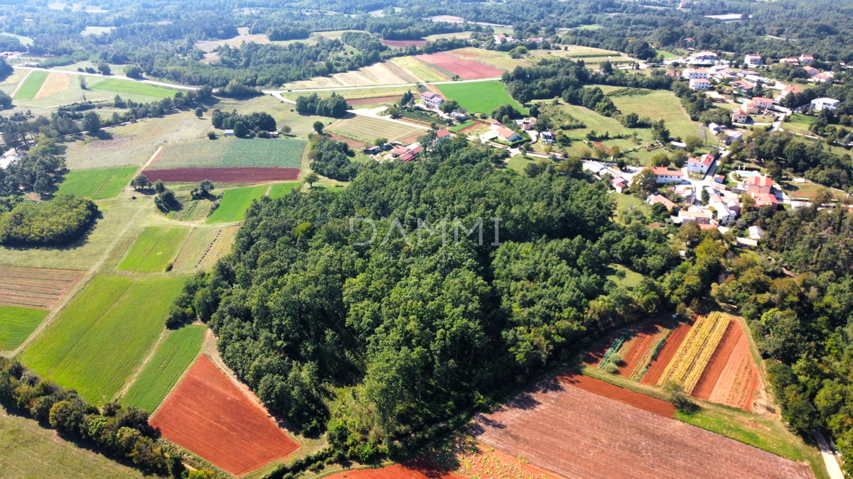 ISTRIA CENTRALE - Complesso unico di terreni agricoli edificabili