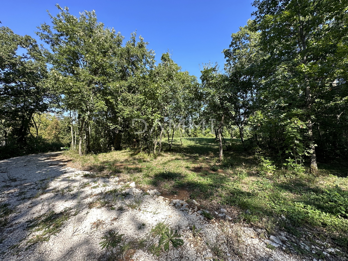 ISTRIA CENTRALE - Complesso unico di terreni agricoli edificabili