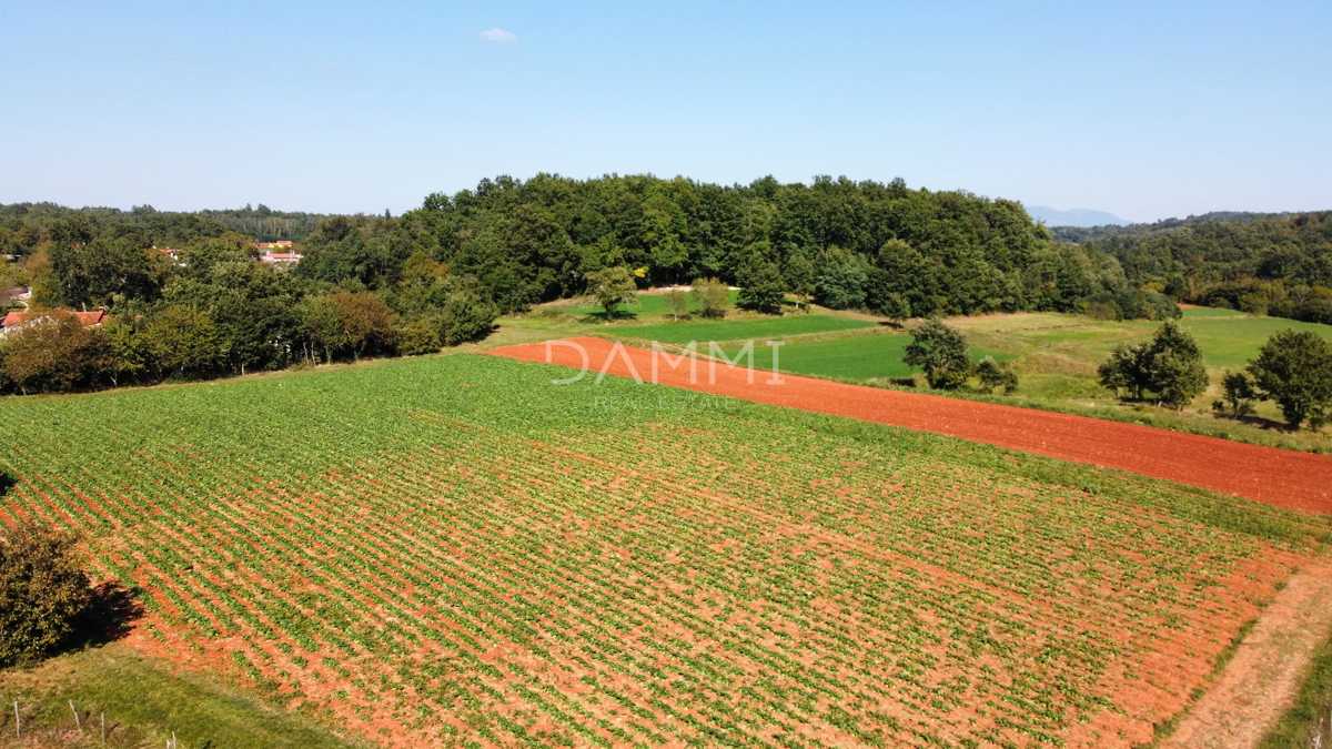 ISTRIA CENTRALE - Complesso unico di terreni agricoli edificabili