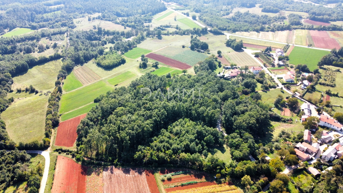 ISTRIA CENTRALE - Complesso unico di terreni agricoli edificabili