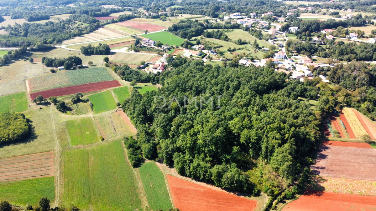 ISTRIA CENTRALE - Complesso unico di terreni agricoli edificabili