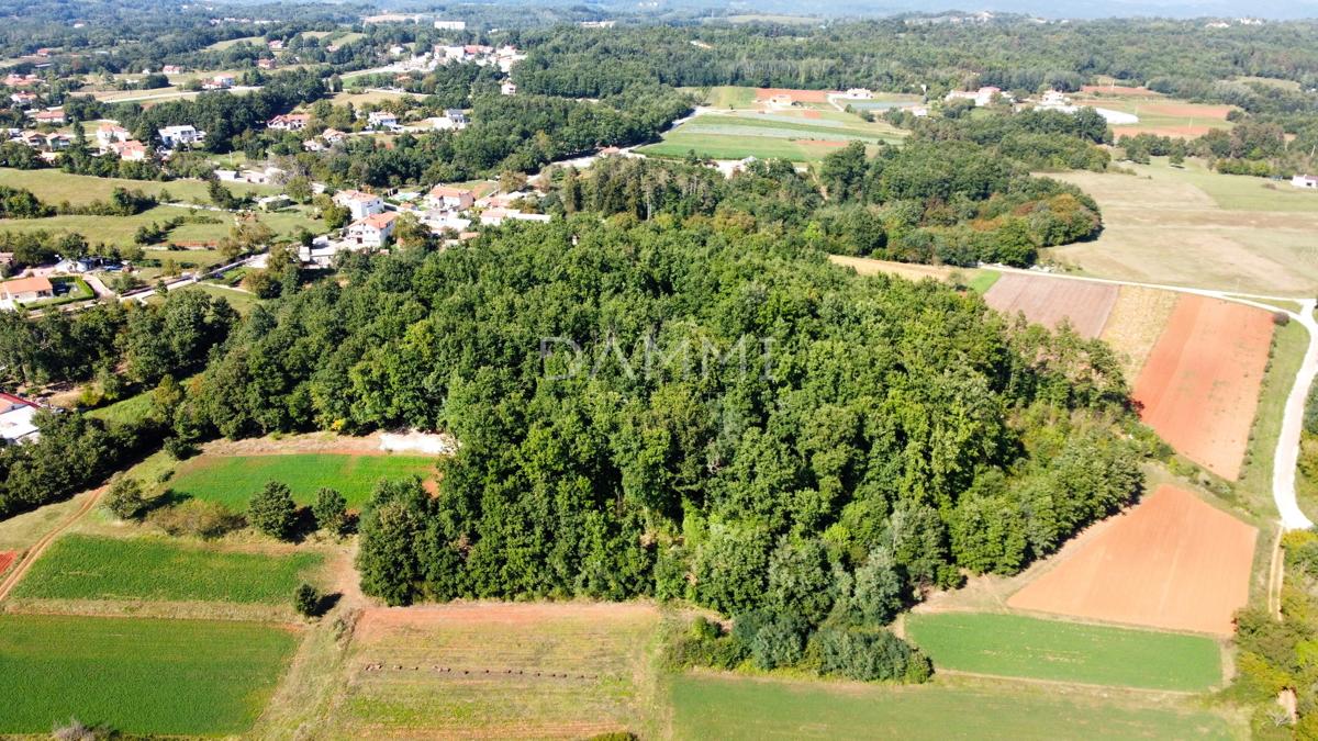 ISTRIA CENTRALE - Complesso unico di terreni agricoli edificabili