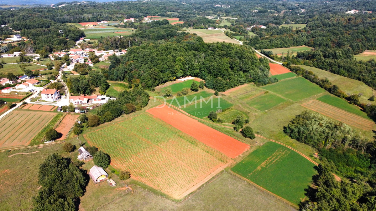 ISTRIA CENTRALE - Complesso unico di terreni agricoli edificabili